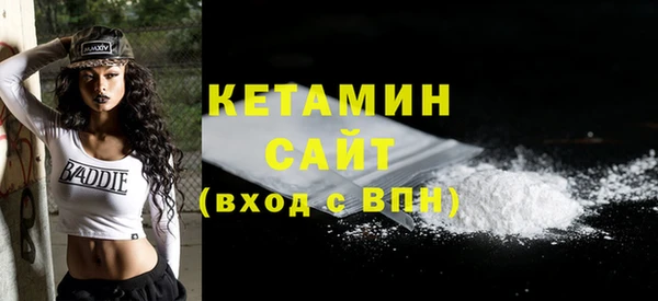 индика Елизово
