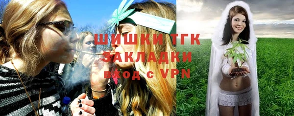 винт Елабуга