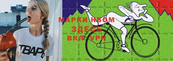 индика Елизово