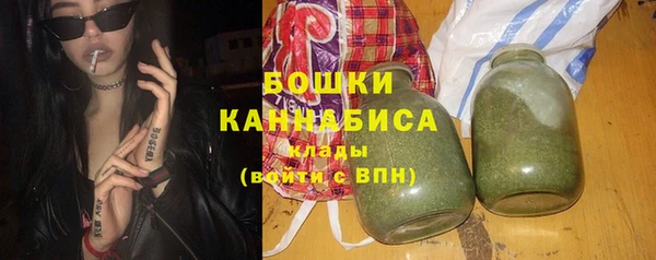 индика Елизово